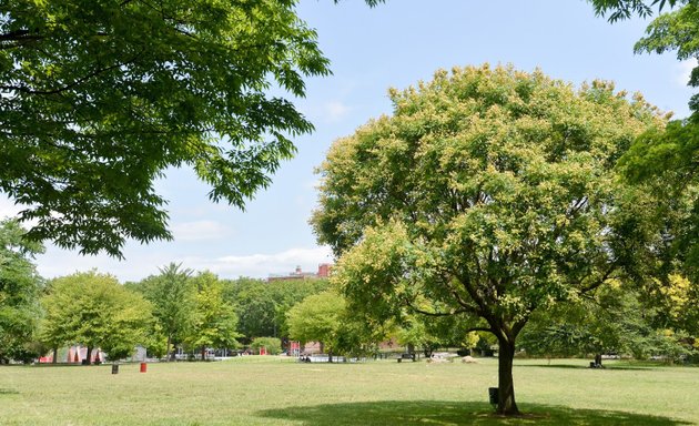 Photo of Soundview Park