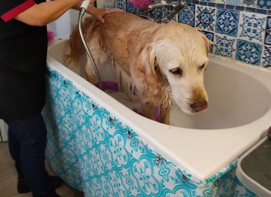 Photo de Le Bain de Zoé