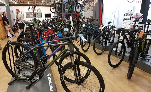 Photo of Chris Willemse Cycles