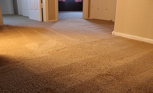 Photo of Carpet Installation