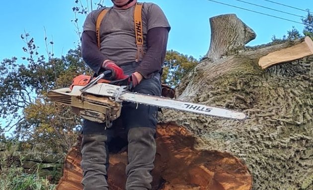 Photo of H Gill Tree Surgeon