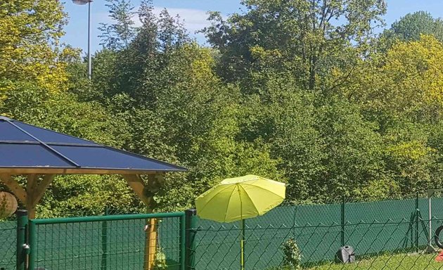 Foto von Hundeschule Sitz, Platz, Bleib & mehr