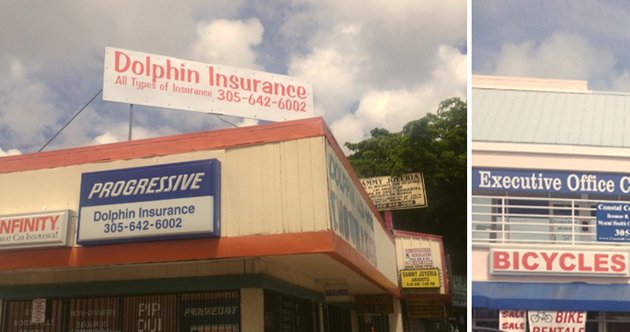 Photo of Dolphin Insurance