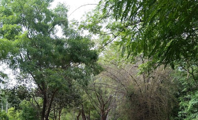 Photo of Arekere Mini Forest