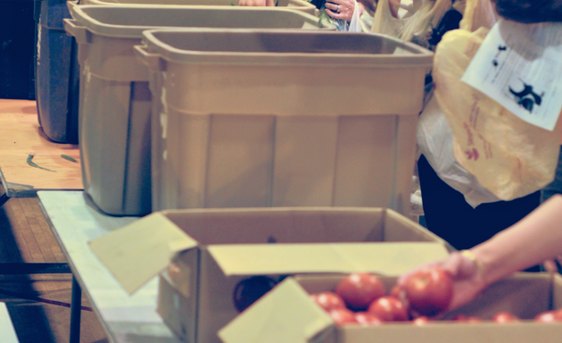 Photo of Clinton Hill CSA