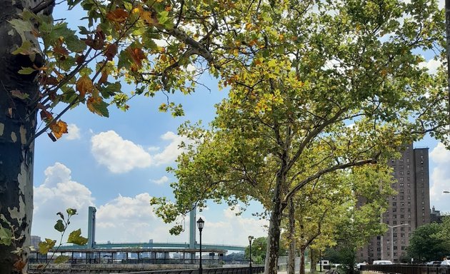 Photo of Randall’s Island Field #7