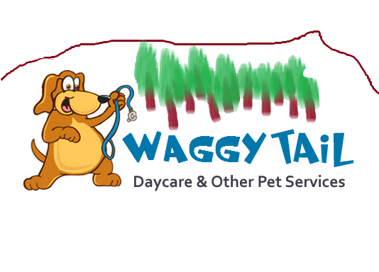 Photo of Waggy Tail Doggy Daycare