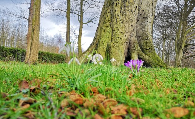 Photo of The Secret Garden, Doxford Park