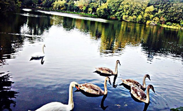 Photo of Hampstead Heath