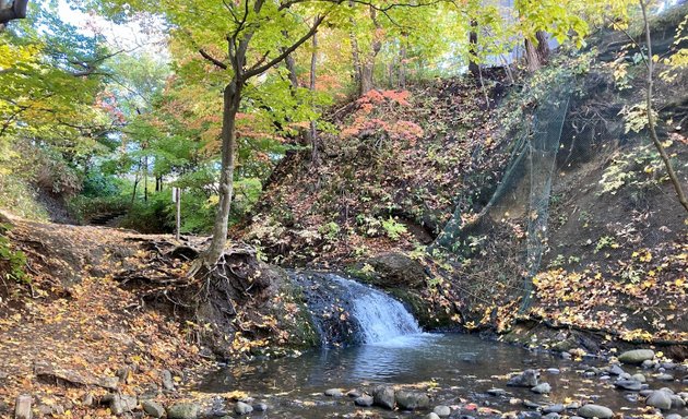 写真 精進川の滝