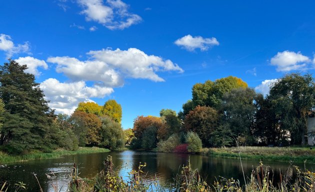 Foto von Breitkopfbecken