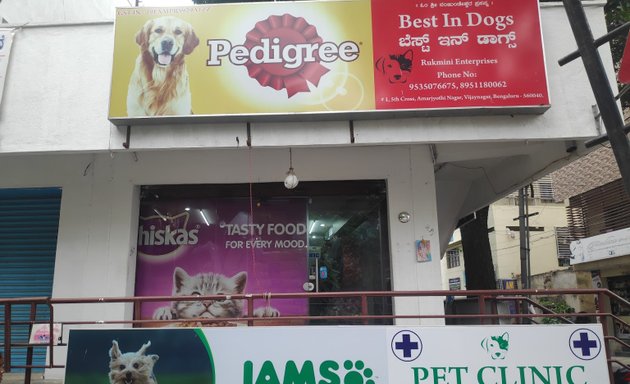 Photo of Best in Dog's Pet shop