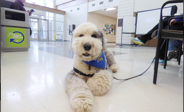 Photo of Chimo Animal Assisted Wellness and Learning Society (CAAWLS)