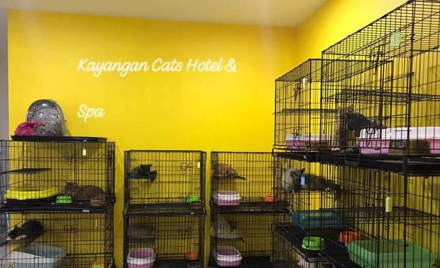 Photo of Kayangan Cats Hotel & spa
