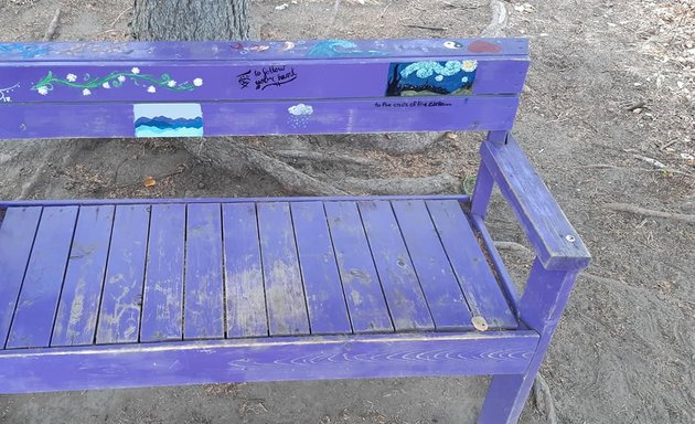 Photo of The Purple Bench