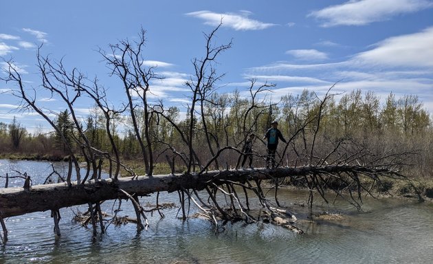 Photo of Griffith Woods Park