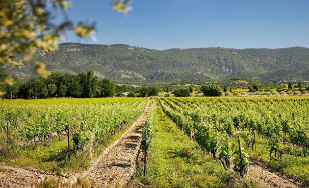 Photo of Aix&provence