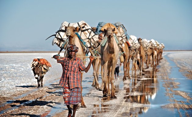 Photo of Typical Ethiopia MICE Tourism