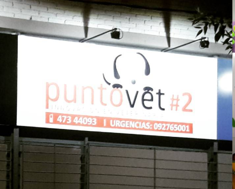 Foto de Puntovet #2