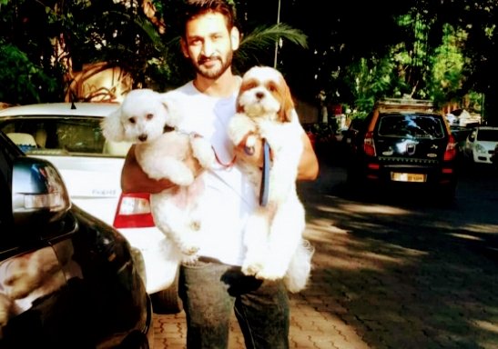 Photo of Adil Qureshi - Dog trainer and Dog behaviourist