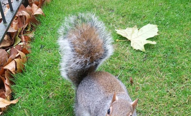 Photo of St James's Park