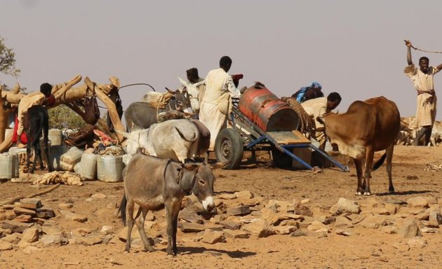 Foto von Discover Sudan! Archaeological and Cultural Tours UG (haftungsbeschränkt)