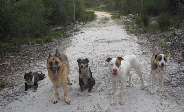 Photo of Pawsitive Dog Training
