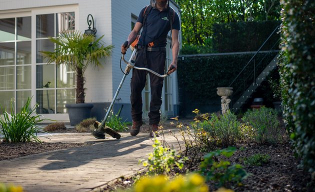 Foto von Rasko Service - Reinigungsfirma & Hausmeisterservice