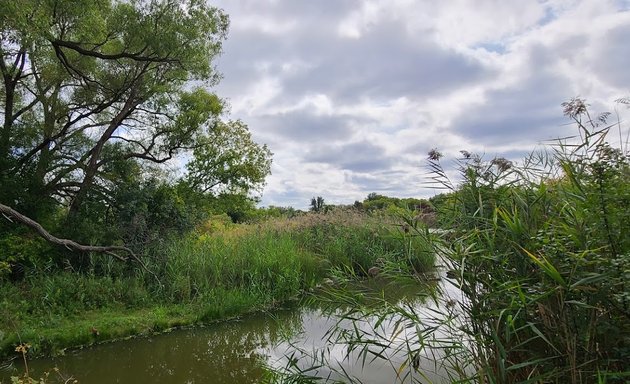 Photo of Humber Valley Pond