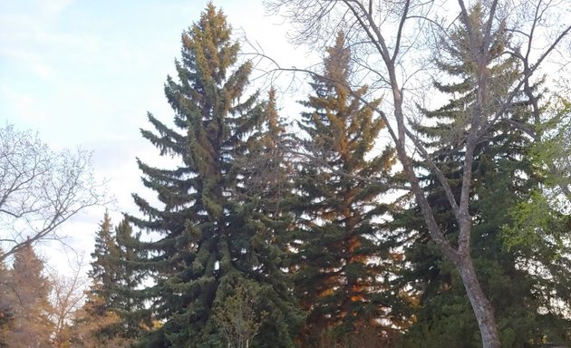 Photo of Crestwood Community Playground