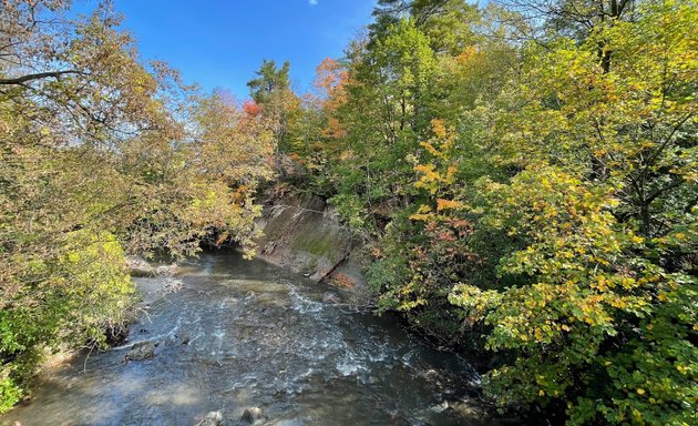 Photo of Serena Gundy Park