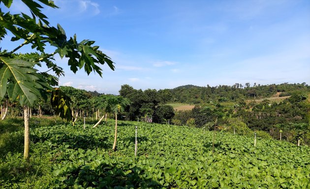 Photo of Taman Kekal Pengeluaran Makanan(TKPM), Batangsi