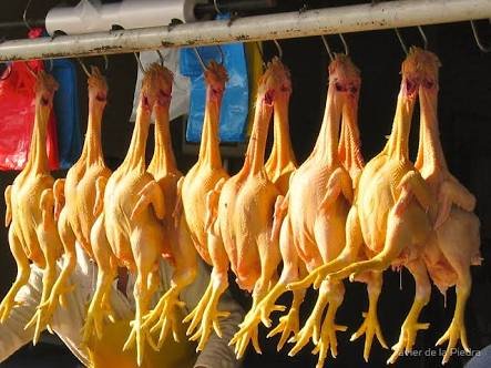 Photo of Lakshmi Chicken Stall