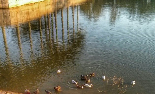 Photo of Lalbagh Lake