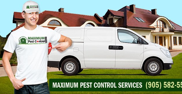 Photo of Maximum Pest Control Services