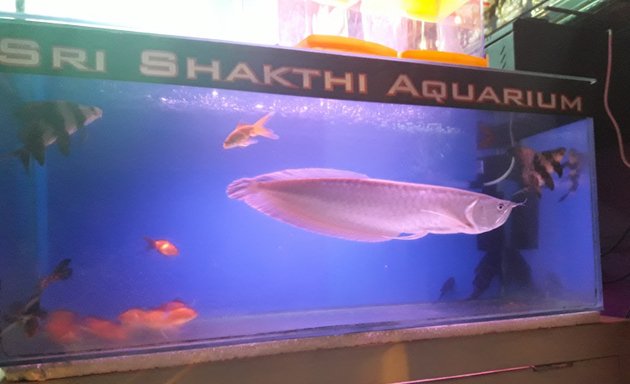 Photo of sri shakthi aquarium