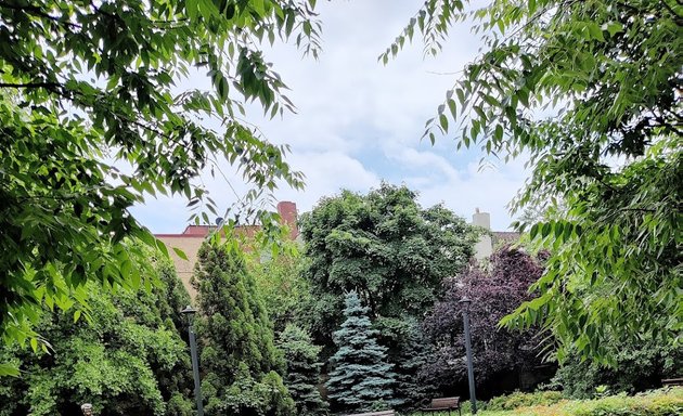 Photo of Luis Suarez Memorial Park