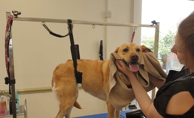 Photo of Debonaire Dog Grooming Salon