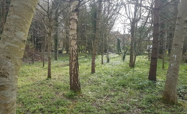 Photo of The Glade