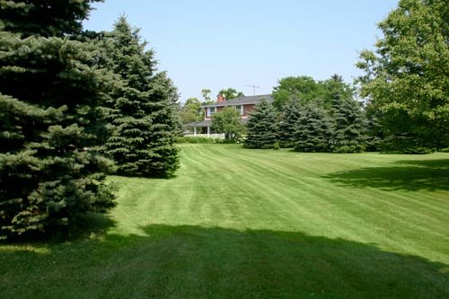 Photo of Total Lawn Care