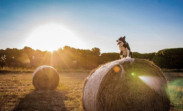 Foto von Walkabout Coaching | Matthias Gemeinhardt