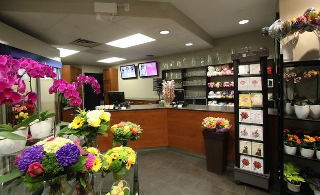 Photo of Flower Creations