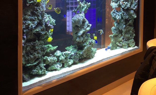 Photo of Complete Aquariums