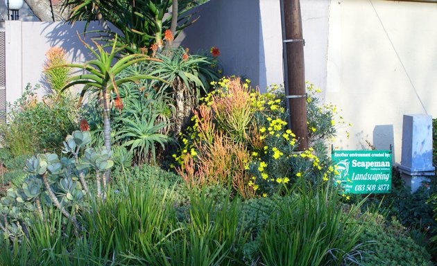Photo of Scapeman Landscaping