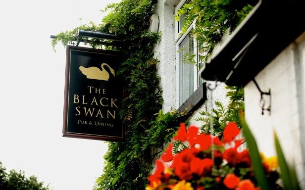 Photo of The Black Swan