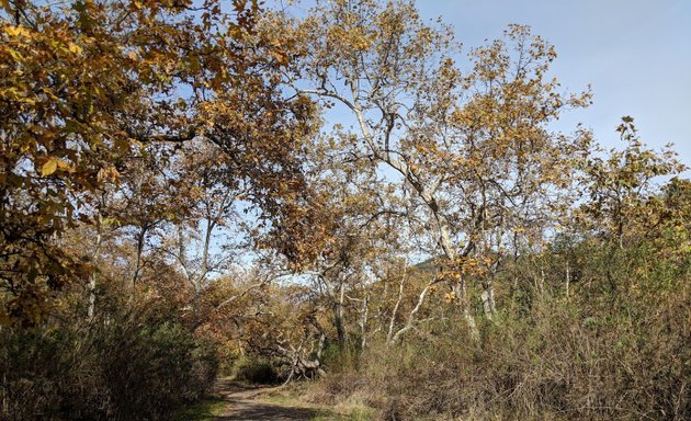 Photo of Sullivan Canyon Park