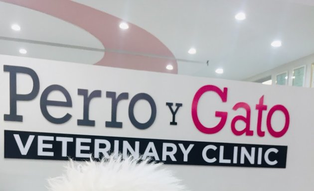 Photo of Perro Y Gato Veterinary Clinic
