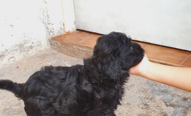 Foto de Clínica Veterinaria Gatica