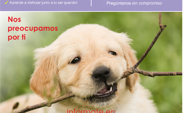 Foto de Pet Friendly by Arikel