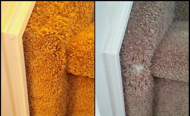 Photo of Dan's Carpet & Upholstery Cleaning